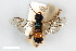  ( - BGE_00402_E02)  @11 [ ] CreativeCommons - Attribution Non-Commercial Share-Alike (2023) Unspecified Zoologisches Forschungsmuseum Alexander Koenig