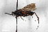  ( - BGE_00402_G08)  @11 [ ] CreativeCommons - Attribution Non-Commercial Share-Alike (2023) Unspecified Zoologisches Forschungsmuseum Alexander Koenig