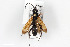  ( - BGE_00402_E05)  @11 [ ] CreativeCommons - Attribution Non-Commercial Share-Alike (2023) Unspecified Zoologisches Forschungsmuseum Alexander Koenig