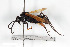  ( - BGE_00402_E05)  @11 [ ] CreativeCommons - Attribution Non-Commercial Share-Alike (2023) Unspecified Zoologisches Forschungsmuseum Alexander Koenig