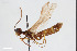  ( - BGE_00403_F01)  @11 [ ] CreativeCommons - Attribution Non-Commercial Share-Alike (2023) Unspecified Zoologisches Forschungsmuseum Alexander Koenig