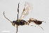  ( - BGE_00404_F04)  @11 [ ] CreativeCommons - Attribution Non-Commercial Share-Alike (2023) Unspecified Zoologisches Forschungsmuseum Alexander Koenig