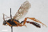 ( - BGE_00405_E02)  @11 [ ] CreativeCommons - Attribution Non-Commercial Share-Alike (2023) Unspecified Zoologisches Forschungsmuseum Alexander Koenig