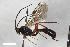  ( - BGE_00405_E04)  @11 [ ] CreativeCommons - Attribution Non-Commercial Share-Alike (2023) Unspecified Zoologisches Forschungsmuseum Alexander Koenig