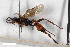  ( - BGE_00403_C04)  @11 [ ] CreativeCommons - Attribution Non-Commercial Share-Alike (2023) Unspecified Zoologisches Forschungsmuseum Alexander Koenig