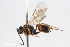  ( - BGE_00402_B01)  @11 [ ] CreativeCommons - Attribution Non-Commercial Share-Alike (2023) Unspecified Zoologisches Forschungsmuseum Alexander Koenig