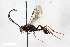  ( - BGE_00402_D01)  @11 [ ] CreativeCommons - Attribution Non-Commercial Share-Alike (2023) Unspecified Zoologisches Forschungsmuseum Alexander Koenig