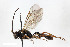  ( - BGE_00402_D02)  @11 [ ] CreativeCommons - Attribution Non-Commercial Share-Alike (2023) Unspecified Zoologisches Forschungsmuseum Alexander Koenig
