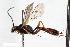  ( - BGE_00402_C02)  @11 [ ] CreativeCommons - Attribution Non-Commercial Share-Alike (2023) Unspecified Zoologisches Forschungsmuseum Alexander Koenig