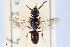  ( - BGE_00404_A03)  @11 [ ] CreativeCommons - Attribution Non-Commercial Share-Alike (2023) Unspecified Zoologisches Forschungsmuseum Alexander Koenig