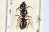  ( - BGE_00403_F04)  @11 [ ] CreativeCommons - Attribution Non-Commercial Share-Alike (2023) Unspecified Zoologisches Forschungsmuseum Alexander Koenig
