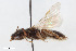  ( - BGE_00403_F04)  @11 [ ] CreativeCommons - Attribution Non-Commercial Share-Alike (2023) Unspecified Zoologisches Forschungsmuseum Alexander Koenig