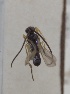  ( - BGE_00408_H05)  @11 [ ] CreativeCommons - Attribution Non-Commercial Share-Alike (2024) Unspecified Zoologisches Forschungsmuseum Alexander Koenig