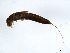  ( - 10BGMAY-015)  @12 [ ] CreativeCommons - Attribution (2010) Unspecified Centre for Biodiversity Genomics