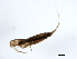  ( - 10BGMAY-021)  @13 [ ] CreativeCommons - Attribution (2010) Unspecified Centre for Biodiversity Genomics