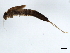  ( - 10BGMAY-023)  @13 [ ] CreativeCommons - Attribution (2010) Unspecified Centre for Biodiversity Genomics