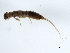  ( - 10BGMAY-024)  @13 [ ] CreativeCommons - Attribution (2010) Unspecified Centre for Biodiversity Genomics