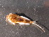  ( - CCDB-09353-H03)  @12 [ ] Copyright  Y. Vidinova 2011 Unspecified