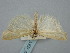  (Agriphila paleatellus - BGE_ZSM_LEP_0769)  @11 [ ] by-nc-sa (2023) SNSB, Staatliche Naturwissenschaftliche Sammlungen Bayerns ZSM (SNSB, Zoologische Staatssammlung Muenchen)