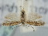  ( - BGE_ZSM_LEP_0847)  @11 [ ] by-nc-sa (2024) SNSB, Staatliche Naturwissenschaftliche Sammlungen Bayerns ZSM (SNSB, Zoologische Staatssammlung Muenchen)