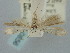  ( - BGE_ZSM_LEP_0856)  @11 [ ] by-nc-sa (2024) SNSB, Staatliche Naturwissenschaftliche Sammlungen Bayerns ZSM (SNSB, Zoologische Staatssammlung Muenchen)
