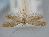 ( - BGE_ZSM_LEP_1846)  @11 [ ] by-nc-sa (2024) SNSB, Staatliche Naturwissenschaftliche Sammlungen Bayerns ZSM (SNSB, Zoologische Staatssammlung Muenchen)