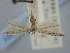  ( - BGE_ZSM_LEP_1921)  @11 [ ] by-nc-sa (2024) SNSB, Staatliche Naturwissenschaftliche Sammlungen Bayerns ZSM (SNSB, Zoologische Staatssammlung Muenchen)