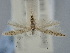  ( - BGE_ZSM_LEP_1922)  @11 [ ] by-nc-sa (2024) SNSB, Staatliche Naturwissenschaftliche Sammlungen Bayerns ZSM (SNSB, Zoologische Staatssammlung Muenchen)
