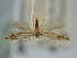  ( - BGE_ZSM_LEP_2184)  @11 [ ] by-nc-sa (2024) SNSB, Staatliche Naturwissenschaftliche Sammlungen Bayerns ZSM (SNSB, Zoologische Staatssammlung Muenchen)