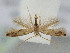  ( - BGE_ZSM_LEP_2186)  @11 [ ] by-nc-sa (2024) SNSB, Staatliche Naturwissenschaftliche Sammlungen Bayerns ZSM (SNSB, Zoologische Staatssammlung Muenchen)