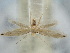  ( - BGE_ZSM_LEP_2187)  @11 [ ] by-nc-sa (2024) SNSB, Staatliche Naturwissenschaftliche Sammlungen Bayerns ZSM (SNSB, Zoologische Staatssammlung Muenchen)