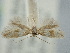  ( - BGE_ZSM_LEP_2379)  @11 [ ] by-nc-sa (2024) SNSB, Staatliche Naturwissenschaftliche Sammlungen Bayerns ZSM (SNSB, Zoologische Staatssammlung Muenchen)