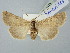 ( - BGE_ZSM_LEP_2673)  @11 [ ] by-nc-sa (2025) SNSB, Staatliche Naturwissenschaftliche Sammlungen Bayerns ZSM (SNSB, Zoologische Staatssammlung Muenchen)