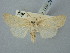  ( - BGE_ZSM_LEP_2821)  @11 [ ] by-nc-sa (2025) SNSB, Staatliche Naturwissenschaftliche Sammlungen Bayerns ZSM (SNSB, Zoologische Staatssammlung Muenchen)