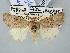  ( - BGE_ZSM_LEP_2842)  @11 [ ] by-nc-sa (2025) SNSB, Staatliche Naturwissenschaftliche Sammlungen Bayerns ZSM (SNSB, Zoologische Staatssammlung Muenchen)