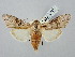  ( - BGE_ZSM_LEP_2879)  @11 [ ] by-nc-sa (2025) SNSB, Staatliche Naturwissenschaftliche Sammlungen Bayerns ZSM (SNSB, Zoologische Staatssammlung Muenchen)