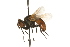  ( - HUBENOV-01-A07)  @11 [ ] CreativeCommons - Attribution (2010) Gergin Blagoev, Centre for Biodiversity Genomics Centre for Biodiversity Genomics