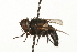  ( - HUBENOV-01-G02)  @11 [ ] CreativeCommons - Attribution (2010) Gergin Blagoev, Centre for Biodiversity Genomics Centre for Biodiversity Genomics