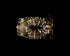  ( - BHAK-12015-FCBB)  @11 [ ] CreativeCommons Attribution Non-Commercial No Derivatives (2022) Matt Lemay Hakai Institute