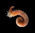  ( - BHAK-12155-FCBB)  @11 [ ] CreativeCommons Attribution Non-Commercial No Derivatives (2022) Matt Lemay Hakai Institute