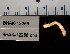  ( - BHAK-12256-FCBB)  @11 [ ] CreativeCommons Attribution Non-Commercial No Derivatives (2022) Matt Lemay Hakai Institute