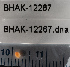  ( - BHAK-12267-FCBB)  @11 [ ] CreativeCommons Attribution Non-Commercial No Derivatives (2022) Matt Lemay Hakai Institute
