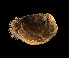  ( - BHAK-12504-FCBB)  @11 [ ] CreativeCommons Attribution Non-Commercial No Derivatives (2022) Matt Lemay Hakai Institute