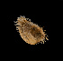  ( - BHAK-12505-FCBB)  @11 [ ] CreativeCommons Attribution Non-Commercial No Derivatives (2022) Matt Lemay Hakai Institute