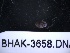  (Dynamenella - BHAK-3658)  @11 [ ] CreativeCommons - Attribution No Derivatives (2019) Matt Lemay Hakai Institute