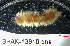 ( - BHAK-13610)  @11 [ ] CreativeCommons Attribution Non-Commercial No Derivatives (2024) Matt Lemay Hakai Institute