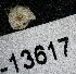  ( - BHAK-13617)  @11 [ ] CreativeCommons Attribution Non-Commercial No Derivatives (2024) Matt Lemay Hakai Institute