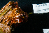 ( - BHAK-13688)  @11 [ ] CreativeCommons Attribution Non-Commercial No Derivatives (2024) Matt Lemay Hakai Institute