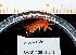  (Ampithoe simulans - BHAK-13810)  @11 [ ] CreativeCommons Attribution Non-Commercial No Derivatives (2024) Matt Lemay Hakai Institute