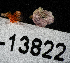  ( - BHAK-13822)  @11 [ ] CreativeCommons Attribution Non-Commercial No Derivatives (2024) Matt Lemay Hakai Institute